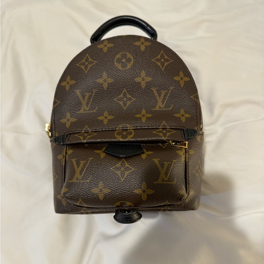 Louis Vuitton Palm Springs mini backpack